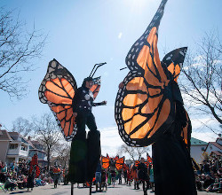 Heart of the Beast Puppet Theatre in the May Day Parade. Sorry I don't know who took the photo if you do please let me know and I will either credit them or remove it depending...